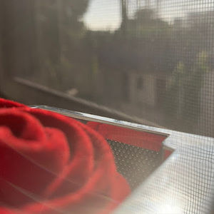 Meet your Posher, Lexi